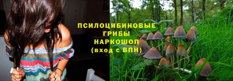 Псилоцибиновые грибы Psilocybine cubensis  гидра ONION  Мамадыш 